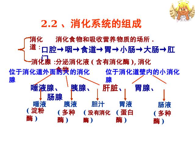 初一下册生物生物《总复习、复习资料》第5页