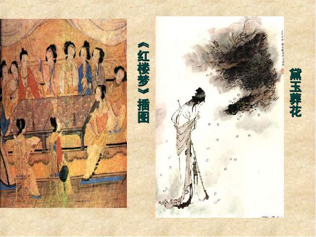 初一下册历史《第21课:清朝前期的文学艺术》第10页