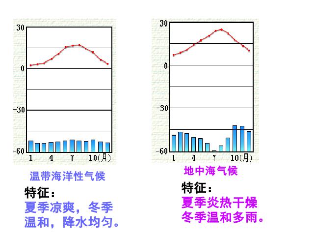 初一下册地理《期末总复习资料》(地理)第10页