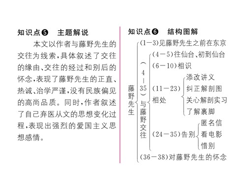 初二上册语文5 藤野先生 （共23张PPT）第5页