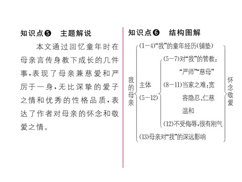 初二上册语文6 我的母亲 （共25张PPT）第5页