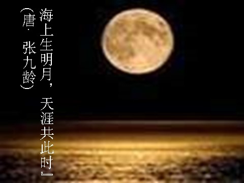 初二上册语文记承天寺夜游1第4页