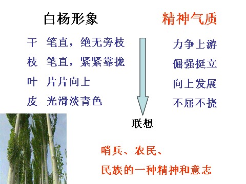 初二上册语文白杨礼赞 2第7页