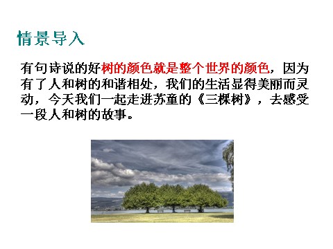 初二上册语文16.三棵树 （共24张PPT）第4页