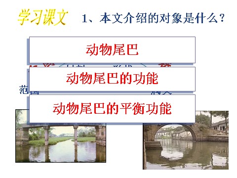 初二上册语文中国石拱桥5第4页