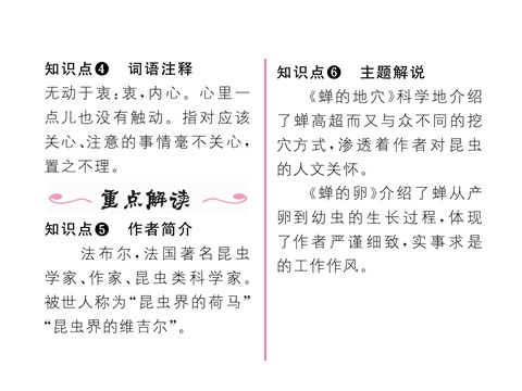 初二上册语文19    蝉 （共19张PPT）第4页