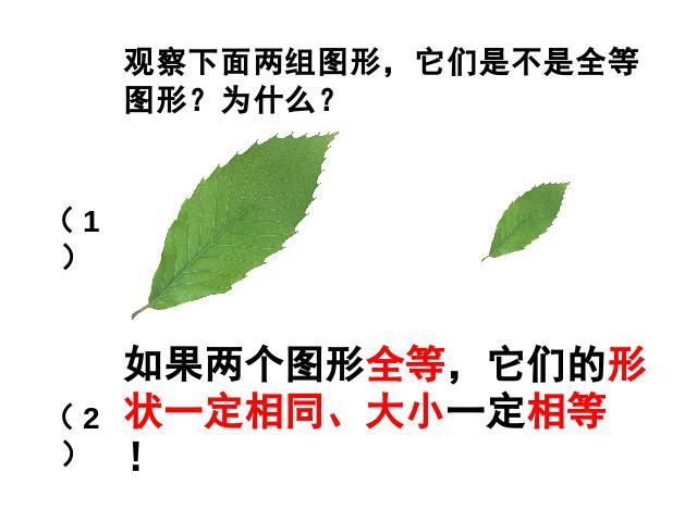 初二上册数学数学12.1全等三角形优秀获奖第9页