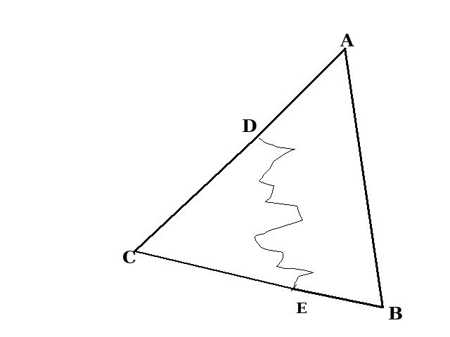 初二上册数学数学12.2全等三角形的判定教研课第5页