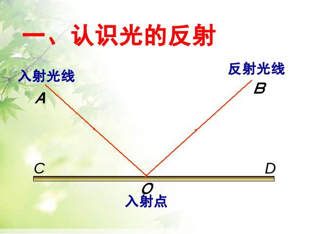 初二上册物理4.2光的反射PPT教学自制课件(物理)第5页