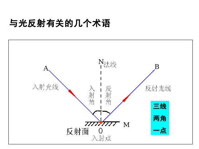 初二上册物理物理4.2光的反射教研课第5页