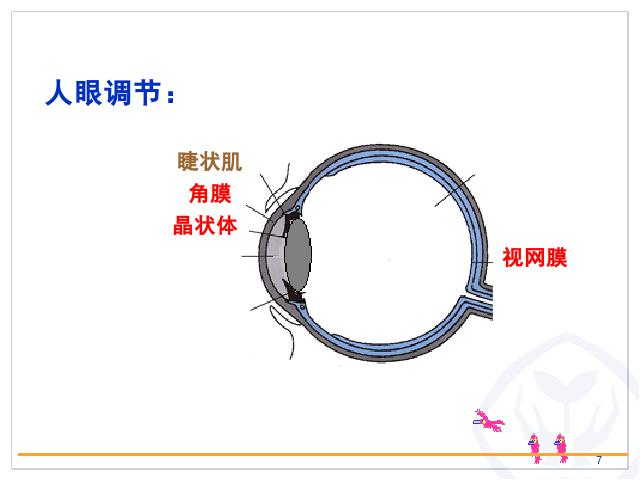 初二上册物理物理5.4眼睛和眼镜教研课第7页