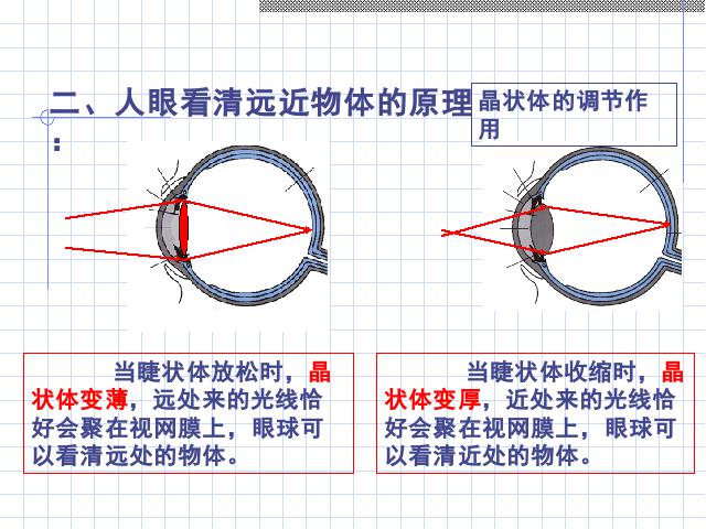 初二上册物理物理5.4眼睛和眼镜ppt比赛获奖教学课件第10页