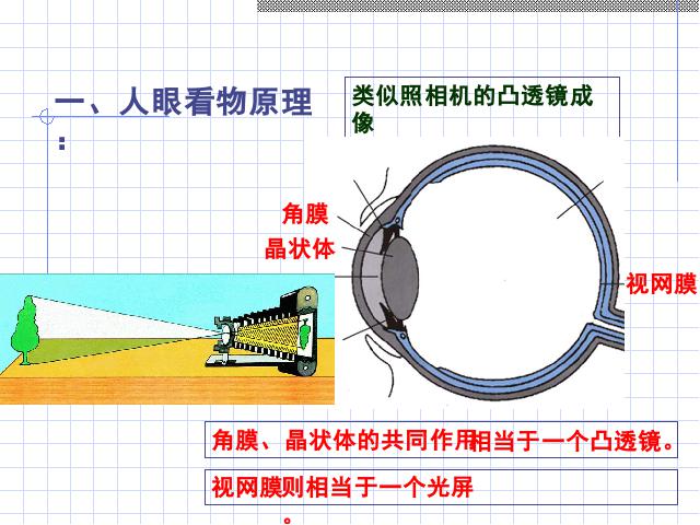 初二上册物理物理5.4眼睛和眼镜ppt比赛获奖教学课件第3页