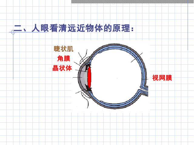 初二上册物理物理5.4眼睛和眼镜ppt比赛获奖教学课件第4页