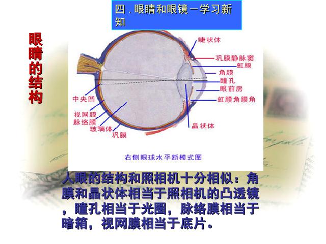 初二上册物理物理5.4眼睛和眼镜优质课第6页