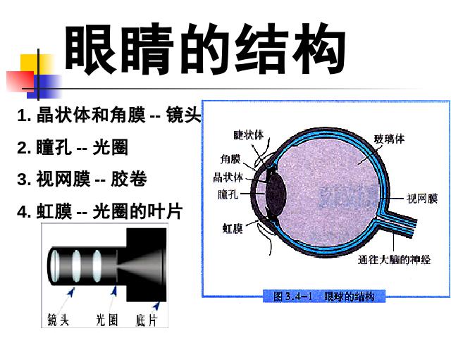 初二上册物理物理5.5显微镜和望远镜精品第5页