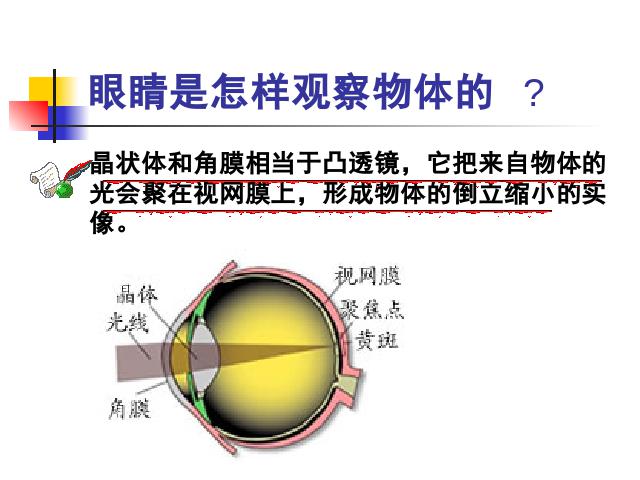 初二上册物理物理5.5显微镜和望远镜精品第6页