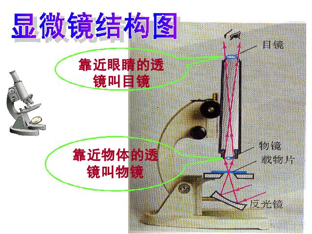 初二上册物理物理5.5显微镜和望远镜教研课第9页