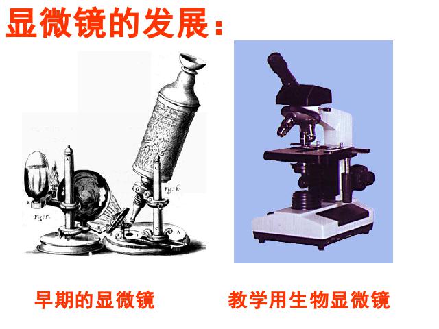初二上册物理物理5.5显微镜和望远镜ppt比赛获奖教学课件第10页