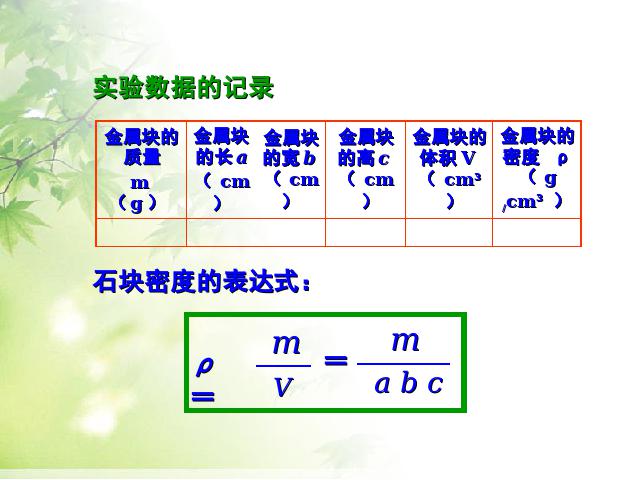 初二上册物理物理6.3测量物质的密度优质课ppt课件下载第9页