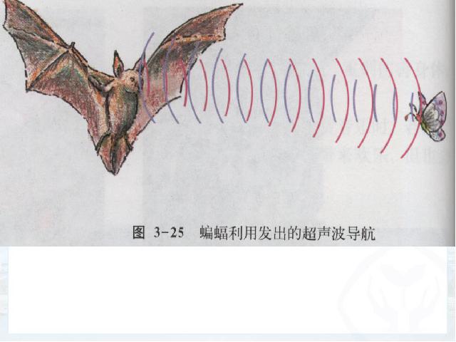 初二上册物理物理第二章声现象期末总复习优质课第10页