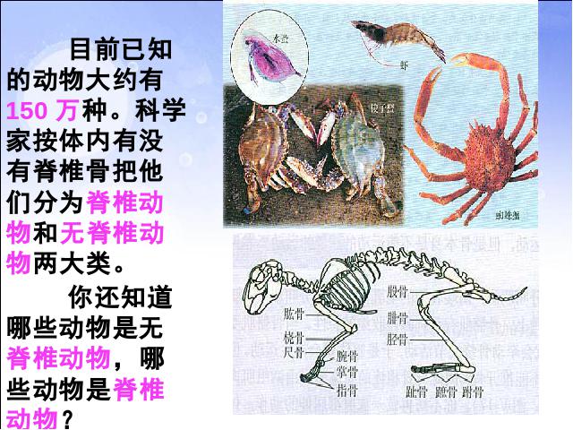 初二上册生物生物5.1.1腔肠动物和扁形动物精品第2页