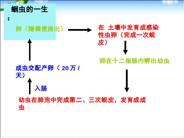 初二上册生物生物5.1.2线形动物和环节动物教研课第8页