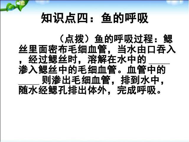 初二上册生物生物5.1.4鱼ppt比赛获奖教学课件第10页