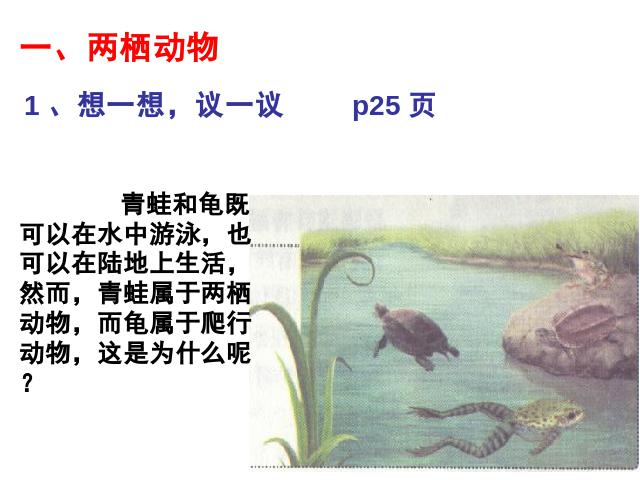 初二上册生物5.1.5两栖动物和爬行动物PPT教学自制课件(生物)第3页