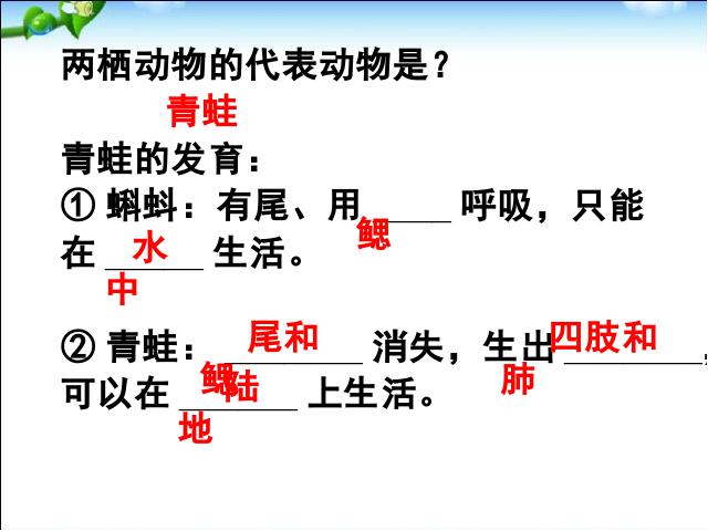 初二上册生物生物5.1.5两栖动物和爬行动物ppt比赛获奖教学课件第4页