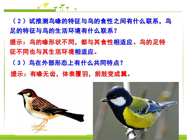 初二上册生物5.1.6鸟生物公开课第5页