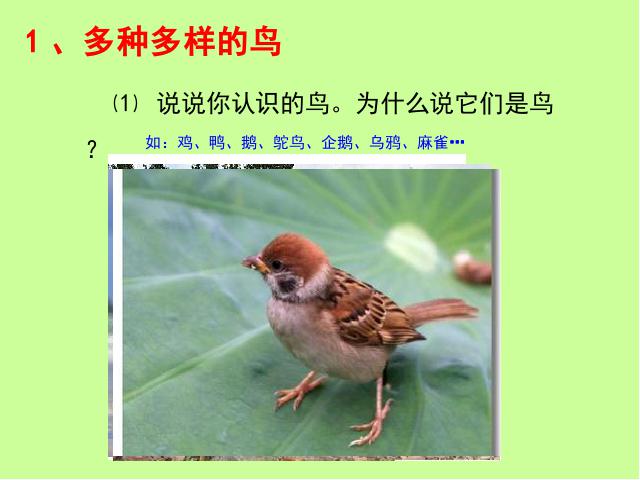 初二上册生物5.1.6鸟PPT教学自制课件(生物)第2页