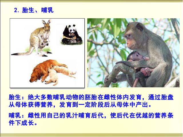 初二上册生物5.1.7哺乳动物PPT教学自制课件(生物)第9页