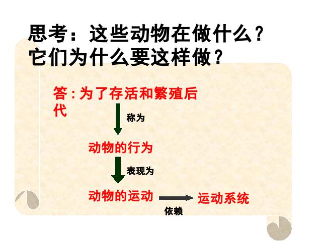 初二上册生物生物5.2.1动物的运动ppt比赛获奖教学课件第8页