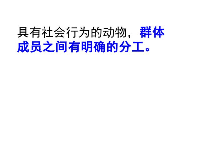 初二上册生物5.2.3社会行为PPT教学自制课件(生物)第5页