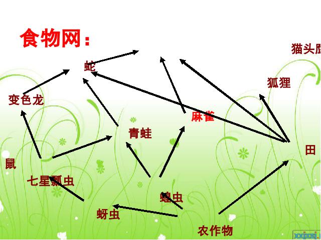 初二上册生物生物5.3动物在生物圈中的作用优质课第10页