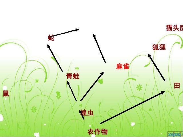 初二上册生物生物5.3动物在生物圈中的作用优质课第9页