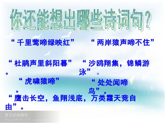 初二上册生物生物5.3动物在生物圈中的作用上课下载第3页