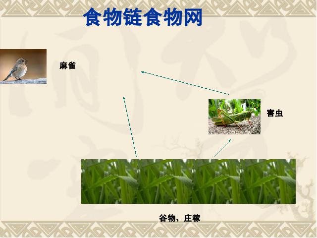 初二上册生物生物公开课ppt5.3动物在生物圈中的作用课件第6页