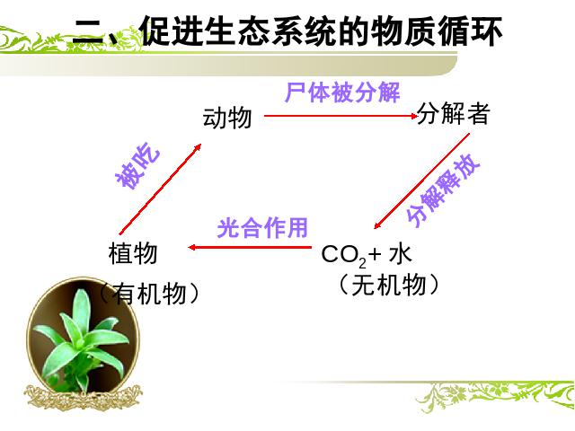 初二上册生物生物公开课ppt5.3动物在生物圈中的作用课件第8页