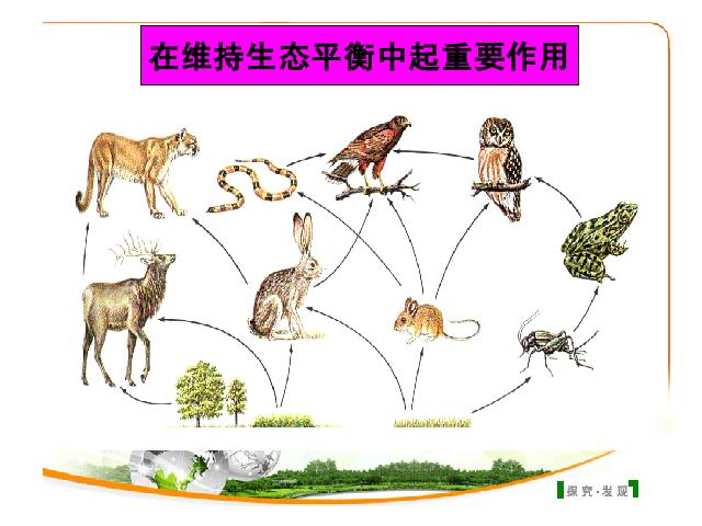 初二上册生物生物5.3动物在生物圈中的作用精品第6页