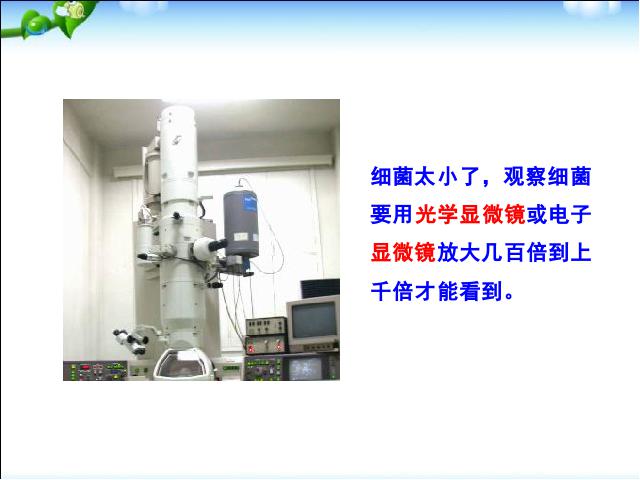 初二上册生物生物5.4.1细菌和真菌的分布ppt比赛获奖教学课件第6页