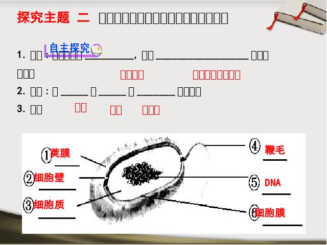 初二上册生物生物5.4.2细菌教研课第8页