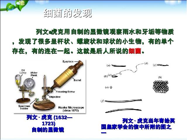 初二上册生物5.4.2细菌PPT教学自制课件(生物)第8页