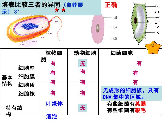 初二上册生物生物公开课ppt5.4.2细菌课件第9页