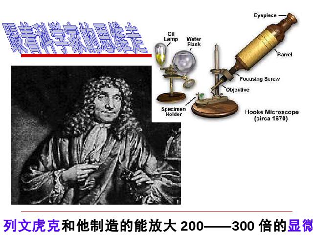 初二上册生物5.4.2细菌生物公开课第3页