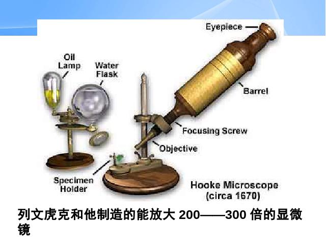 初二上册生物生物5.4.2细菌优质课ppt课件下载第3页