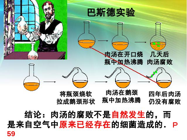 初二上册生物生物5.4.2细菌优质课ppt课件下载第7页