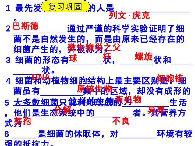 初二上册生物生物5.4.3真菌ppt比赛获奖教学课件第2页