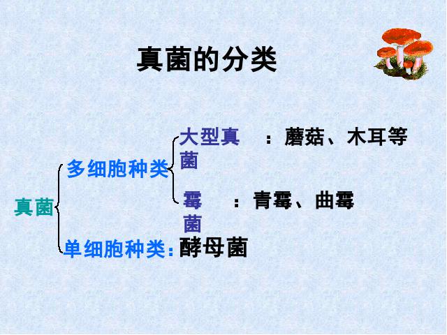 初二上册生物生物5.4.3真菌优质课第7页